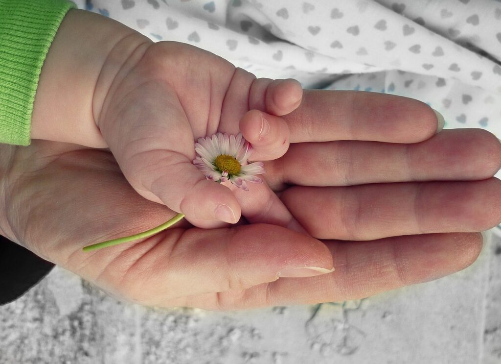 A baby's hand resting in an adult's hand holding a small daisy.